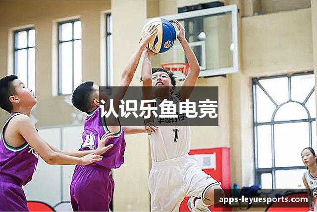 认识乐鱼电竞